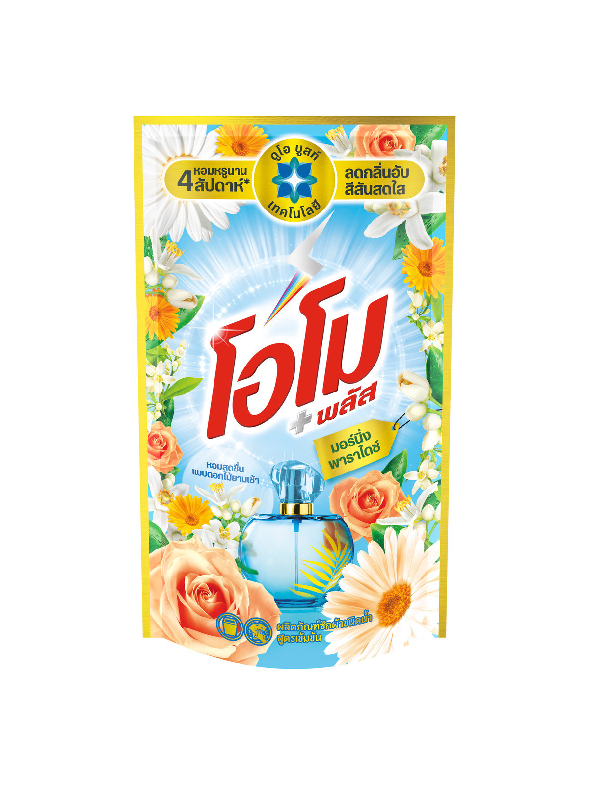 Morning Paradise Image 