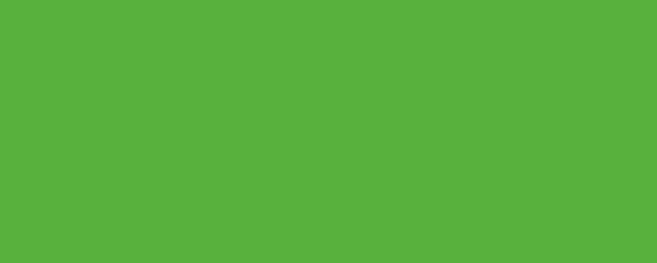 cor de fundo verde